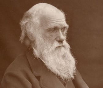 Charles Darwin, soon after the 1872 publication of his “The Expression of the Emotions in Man and Animals”.