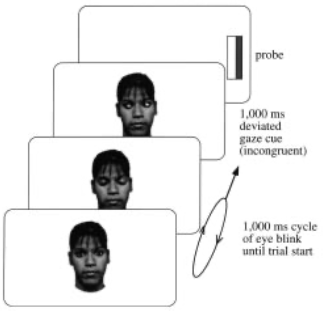 A schematic of the task used by Hood, Willen, and Driver (1998).