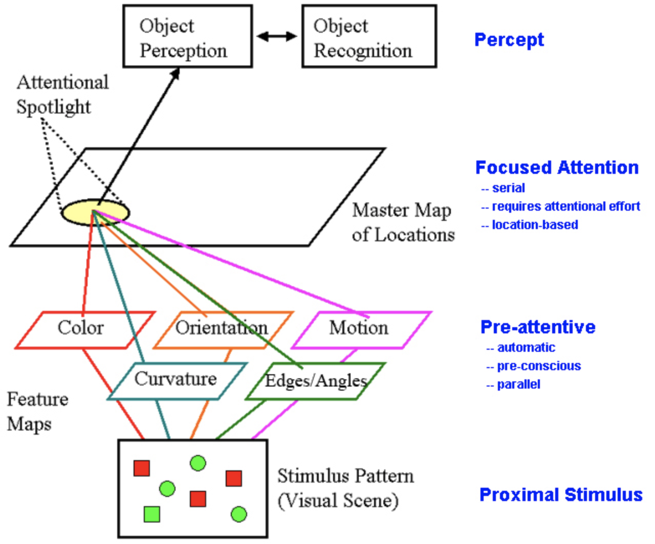 Anne Treisman’s feature integration theory, image by Bob Ferguson / Anne Sutter