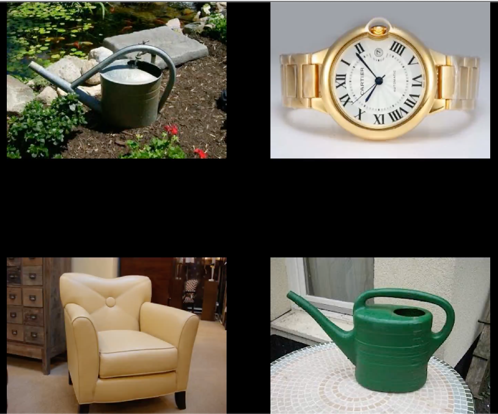 Response lineup. Participants clicked on the images they had seen