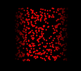 At this very fast rate, none of the people tested in the lab could do it. If you blink, though, you can cheat.